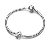 Charm Pandora Donna Collaborations in Argento 792209C01 - 792209C01